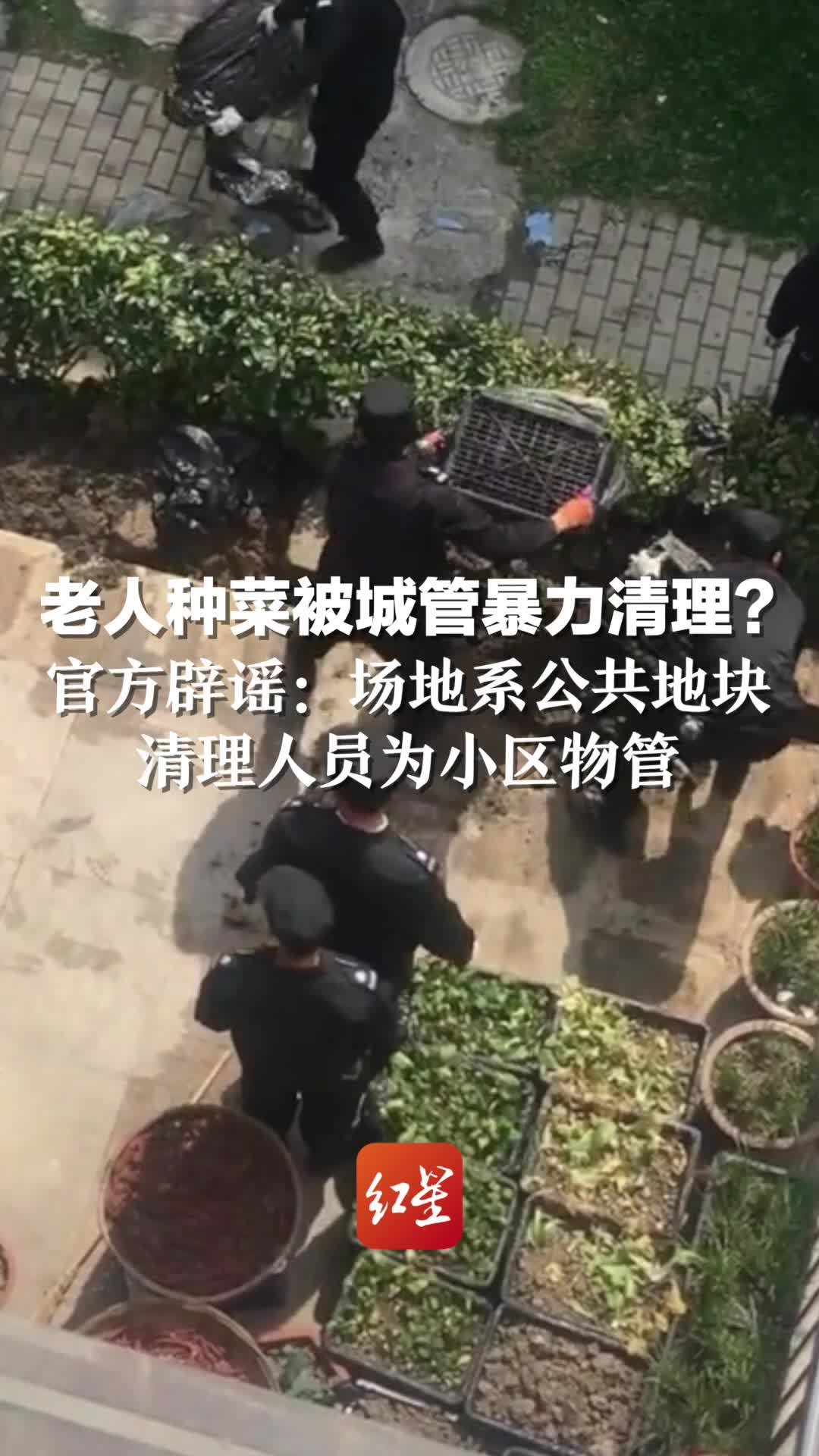 老人种菜被城管暴力清理？官方辟谣：场地系公共地块，清理人员为小区物管