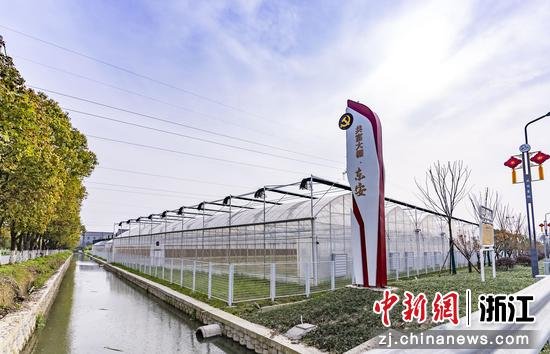 崇福数字农创 桐乡农业农村局供图