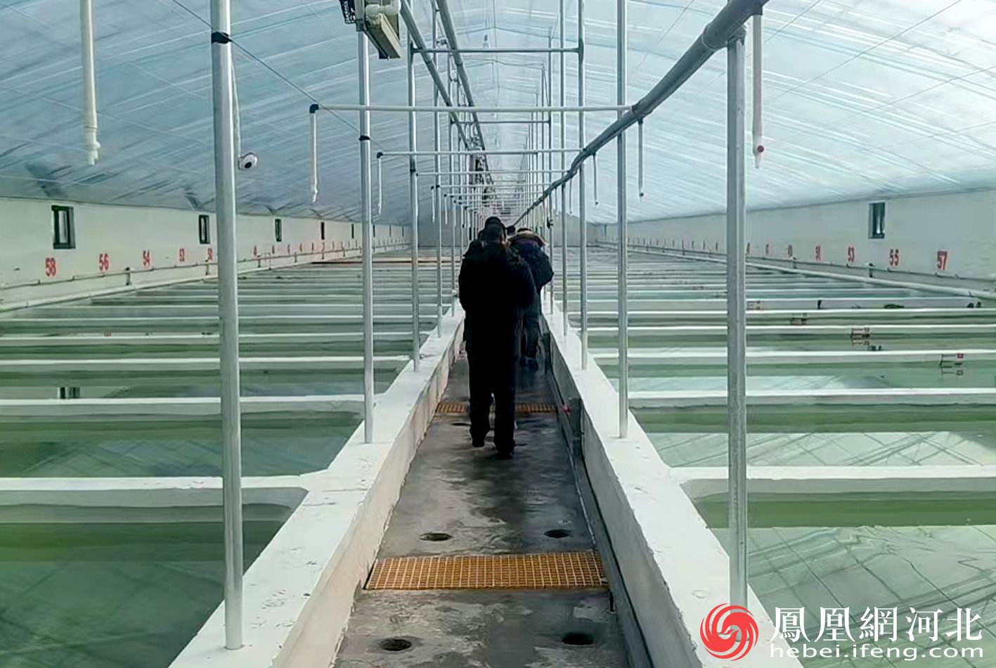 秦皇岛：培育10个特色产业集群  加快打造特色农业强市