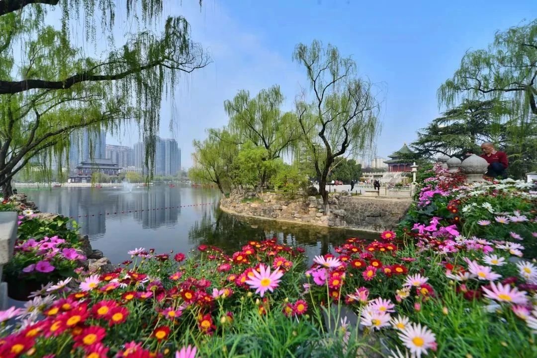 曲江早春赏花攻略 请签收!