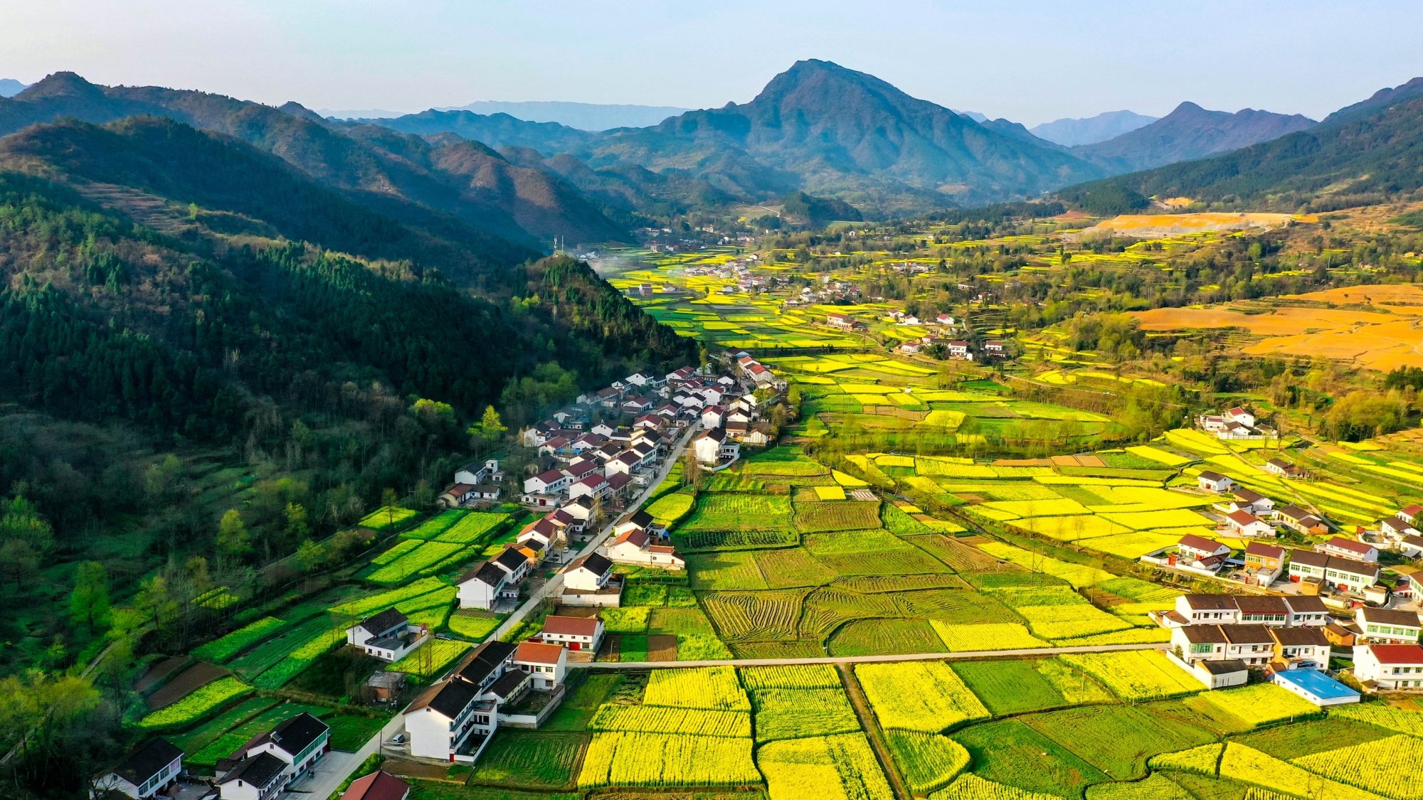 陝西漢中旅遊文化節將於3月18日啟動 邀您共赴最美油菜花海鳳凰網陝西