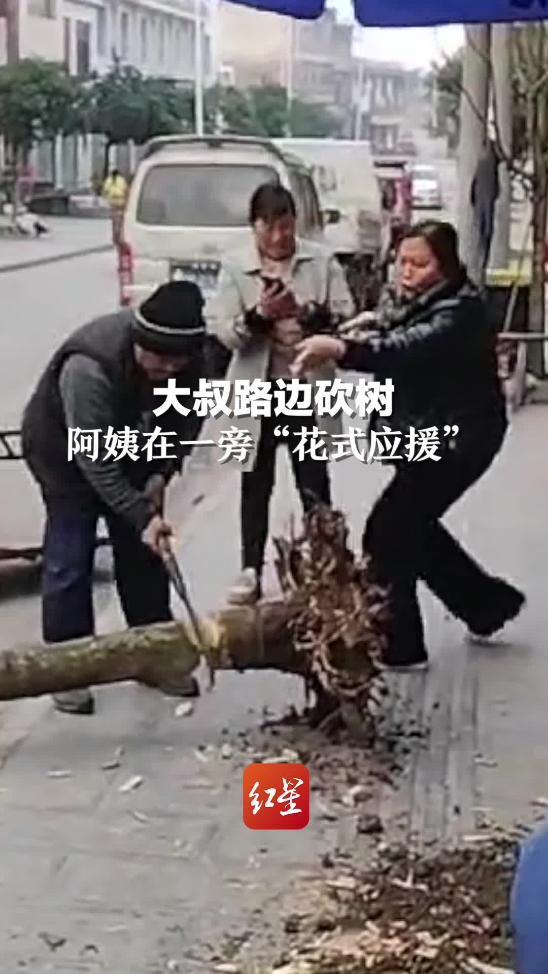 大叔在路边砍树，阿姨在一旁花式应援。网友：“魔法助力”太可爱了