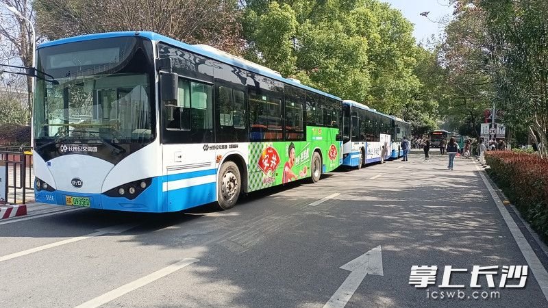 应急疏散公交车在景区待命，随时可以疏散客流。长沙晚报通讯员 曾红涛 供图