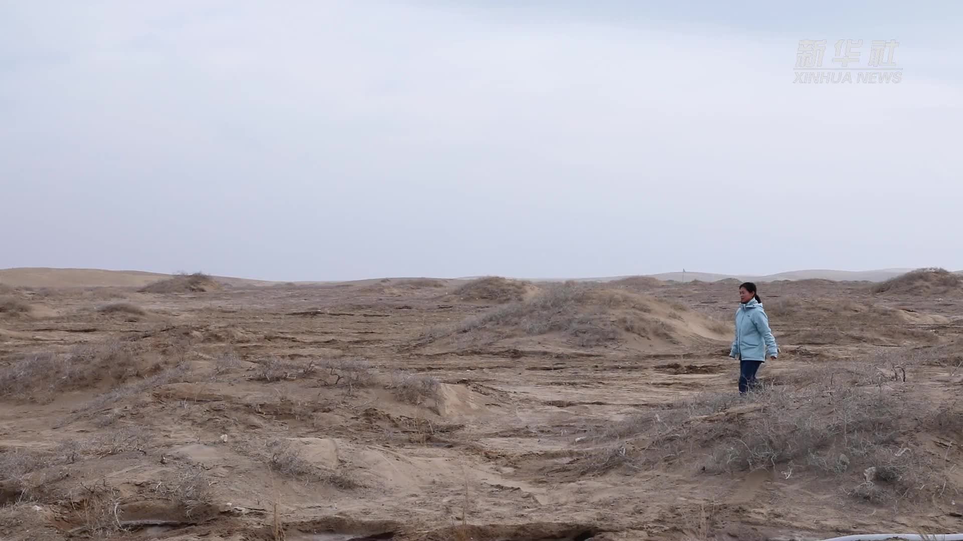 姜莉玲：扎根沙漠护绿洲 无悔青春铸芳华