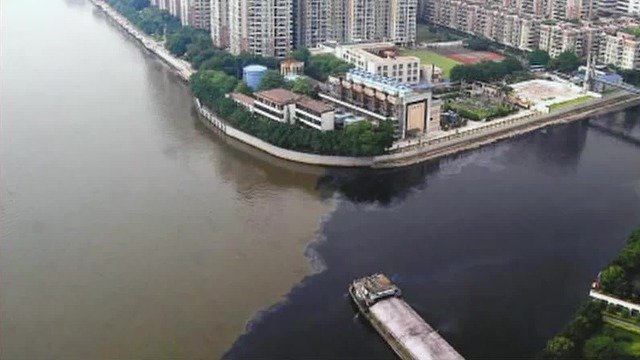 广州石井河治理前后对比分明，为石马村延续百年桃花种植历史提振信心