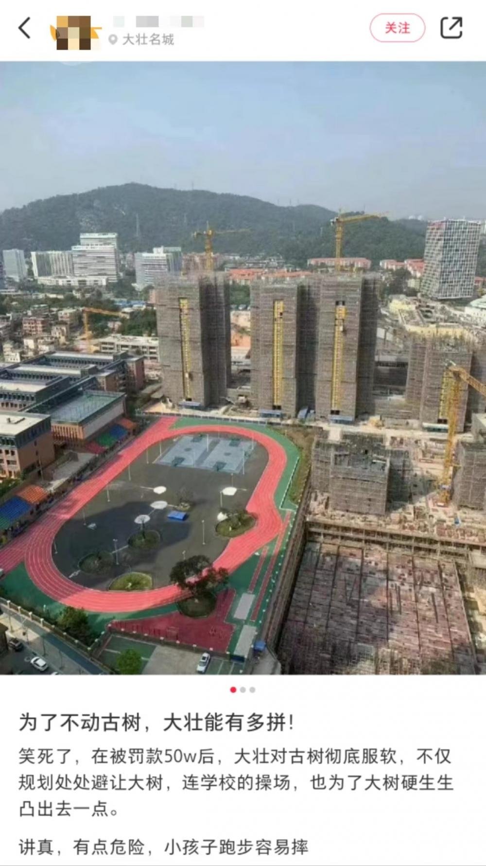 广州一学校操场跑道专门为古树“绕道”，附近楼盘也多次改规划 