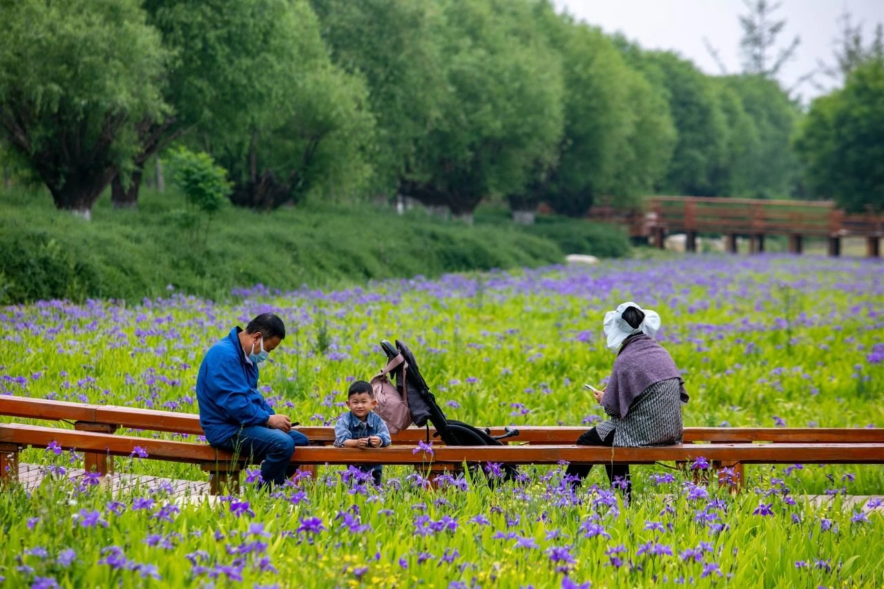 曲江早春赏花攻略 请签收!