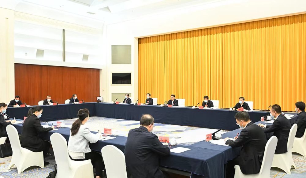 3月8日上午，十四届全国人大一次会议重庆代表团举行会议，分组审议全国人大常委会工作报告。苏思 摄