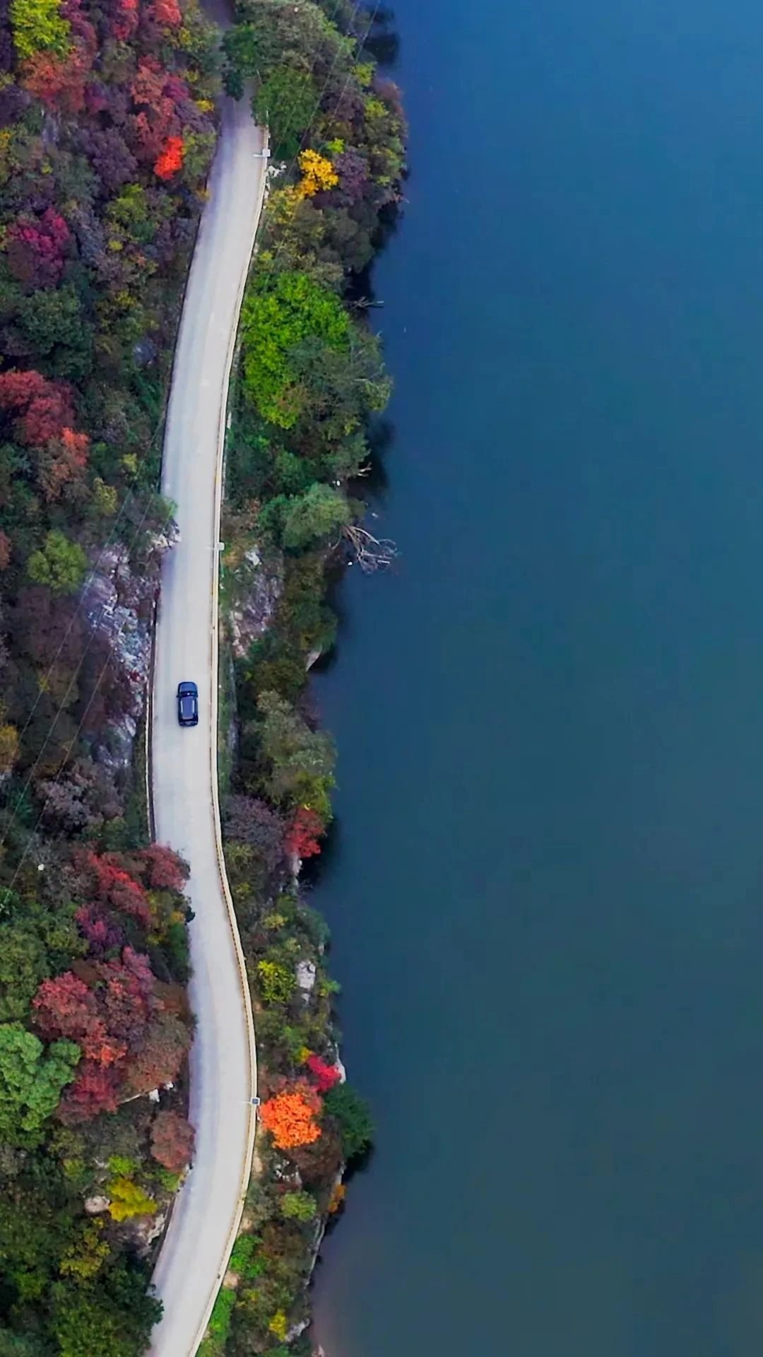 早春来登龙脊梁 感受大自然的魅力！