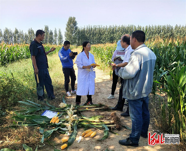彭正萍教授指导学生进行田间实践。