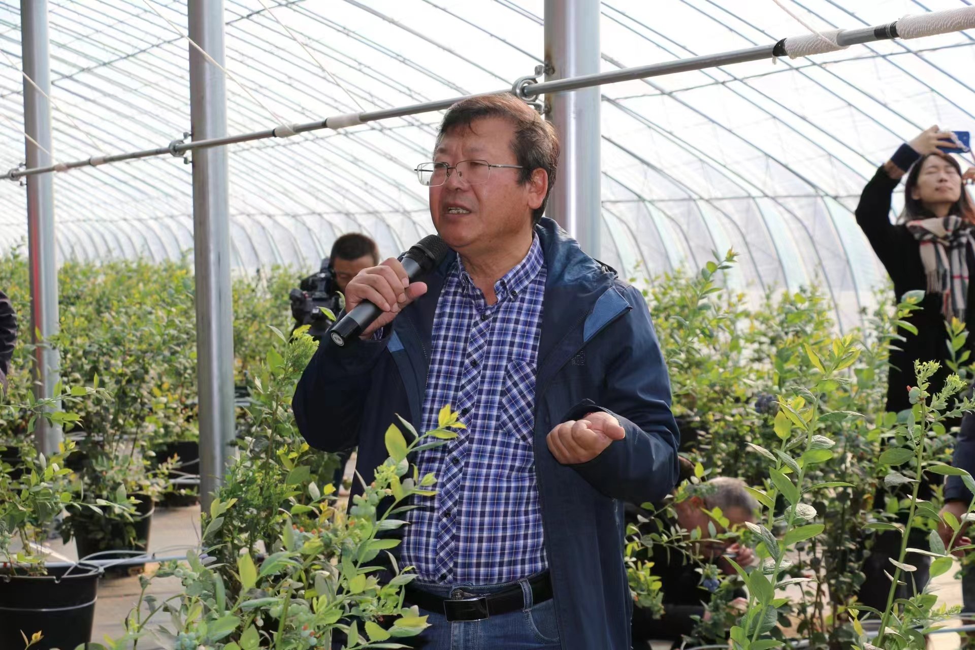 科技赋能青岛蓝莓产业高质量发展