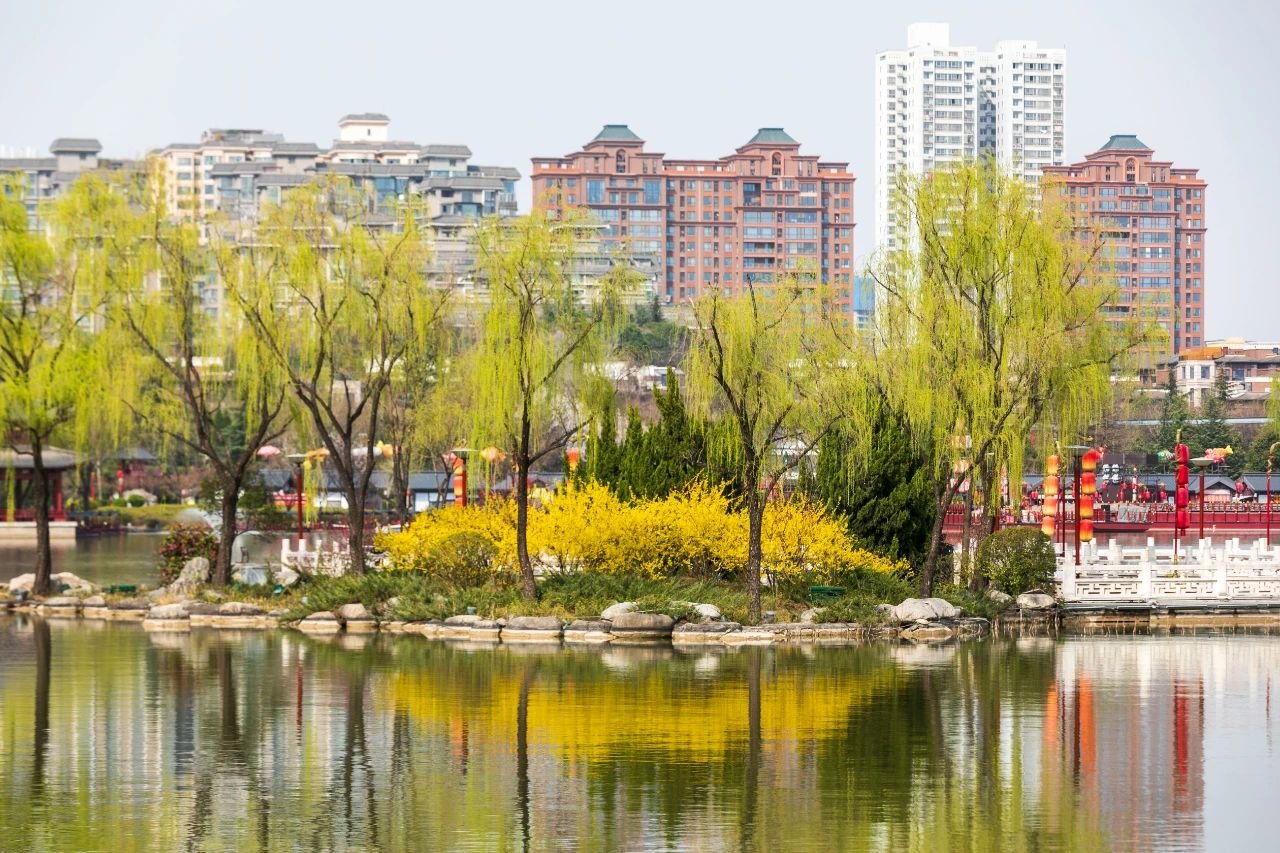 曲江早春赏花攻略 请签收!