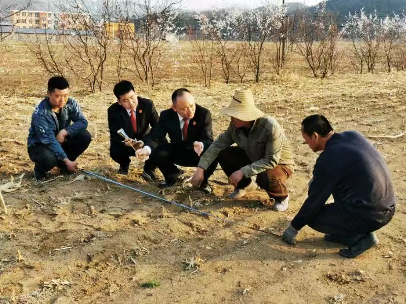 2021年3月份,兴隆法院法官刘伟对一起因地界引发的矛盾进行现场调解。