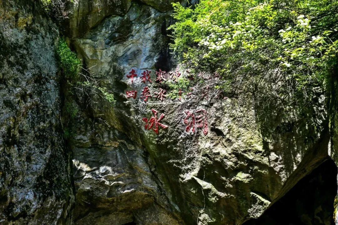 早春来登龙脊梁 感受大自然的魅力！