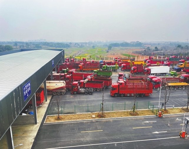 等待查验的车辆排起长队。 本报全媒体记者 蔡颖辉摄