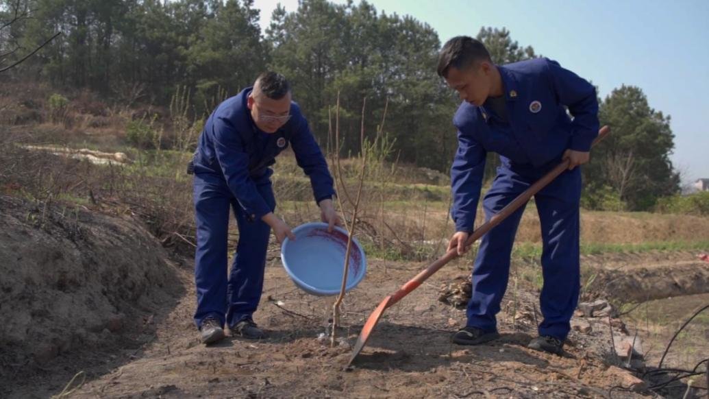 山火后，消防员植树复绿_凤凰网视频_凤凰网