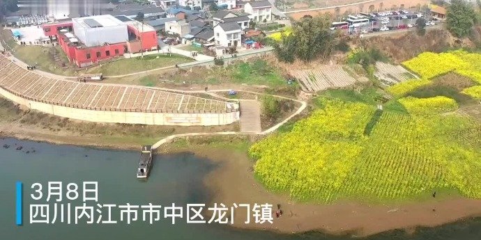 阳春三月，内江市中区油菜花与江水相映成景