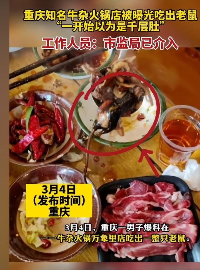 官方通报知名火锅店吃出老鼠：基本属实 对该店立案调查