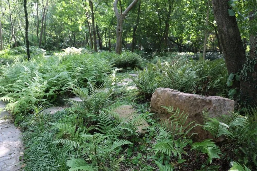 週一不再閉園這個春天在中山植物園這樣玩