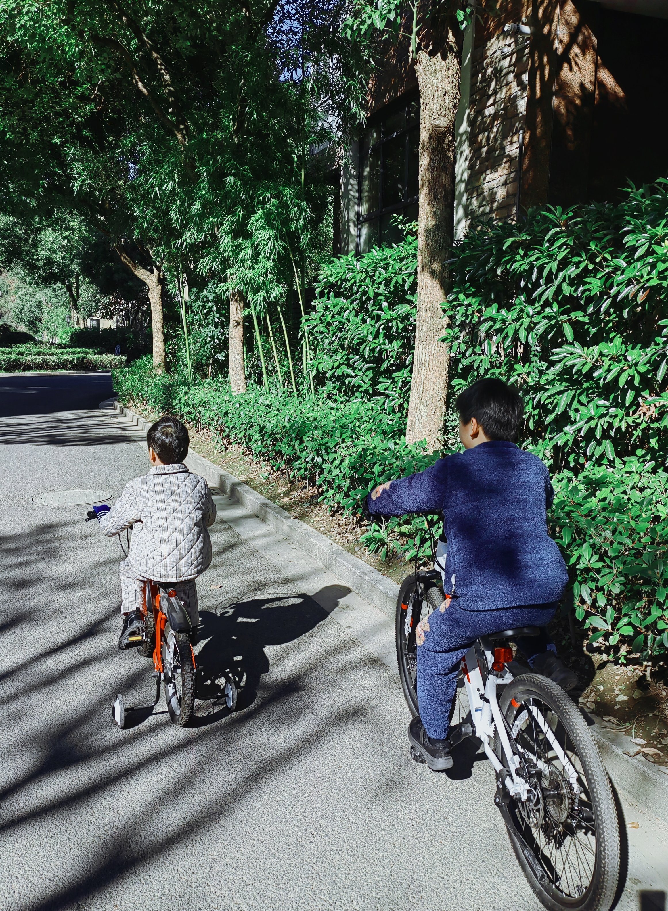 summer陪两个孩子一起学习骑自行车。