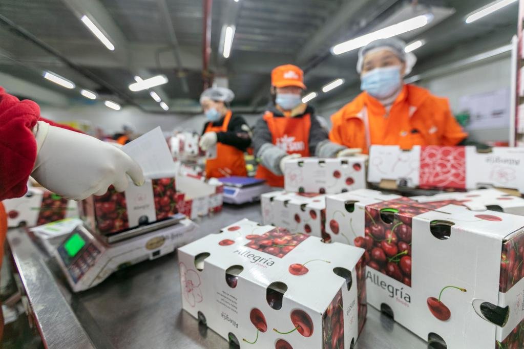 工作人员在综合加工包装中心包装来自智利的车厘子 新华社记者 王翔 摄