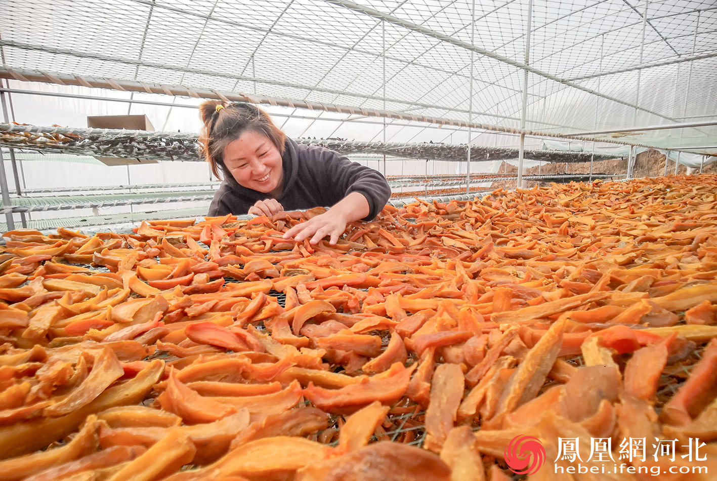 秦皇岛：培育10个特色产业集群  加快打造特色农业强市