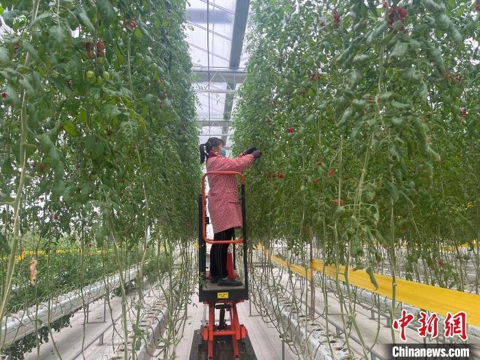 山东以科技赋能智慧农业发展助推农业转型升级