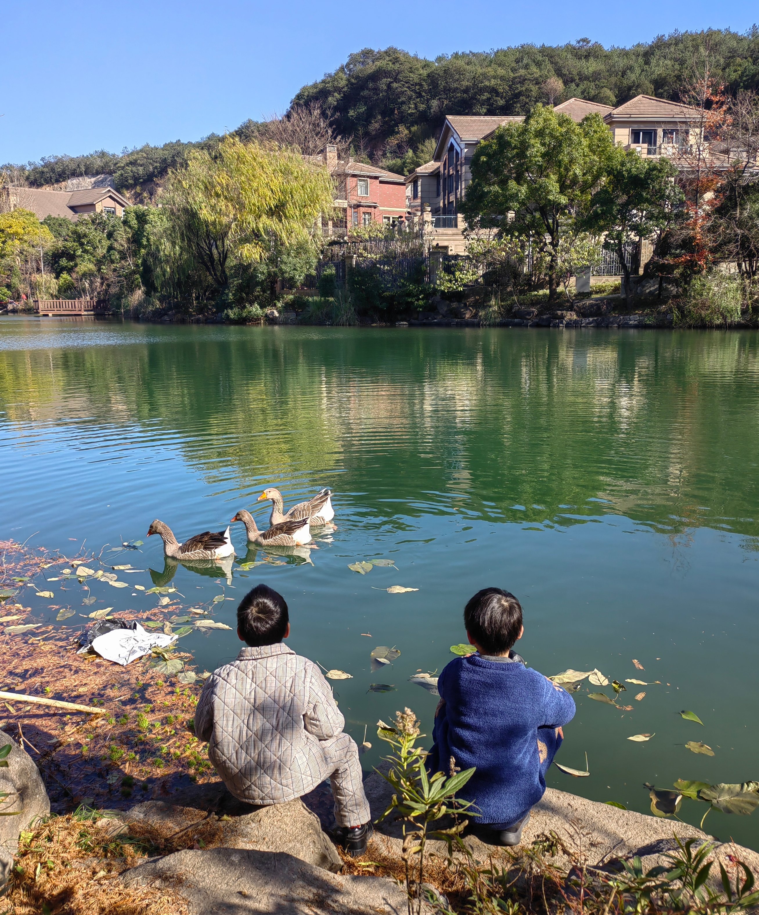 summer陪两个孩子一起去湖边玩。