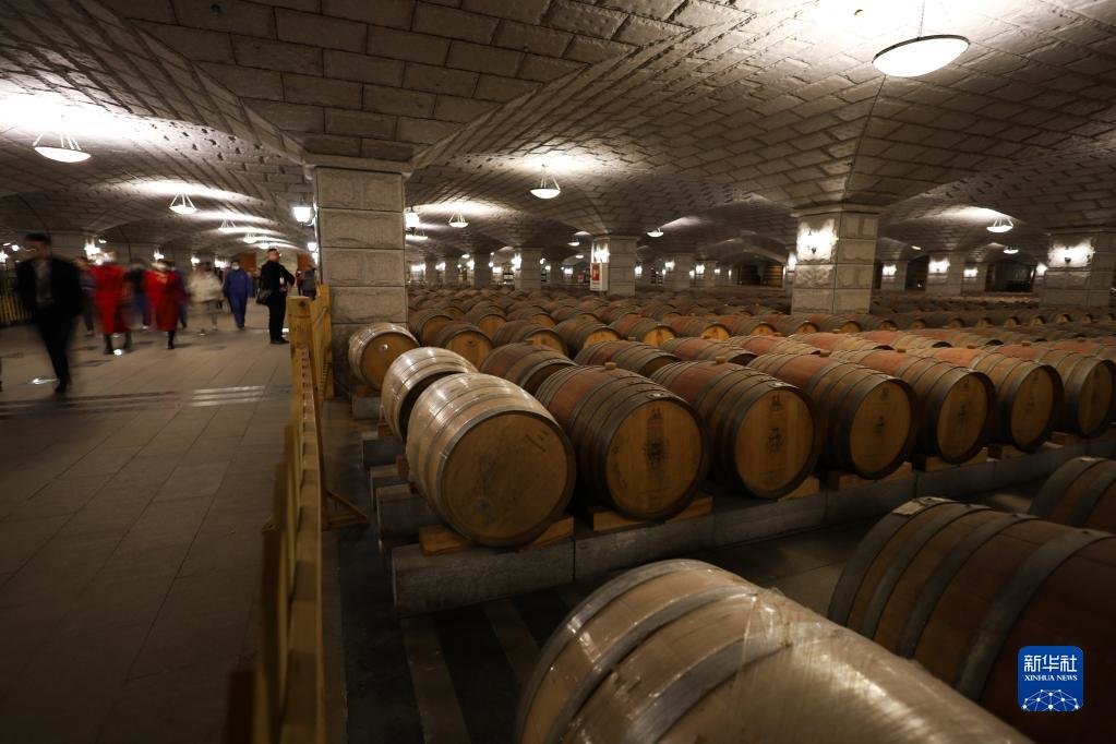 3月4日，游客在嘉峪关紫轩葡萄酒庄园景区参观游览。新华社记者 马希平 摄