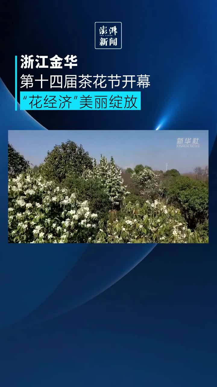 浙江金华第十四届茶花节开幕“花经济”美丽绽放