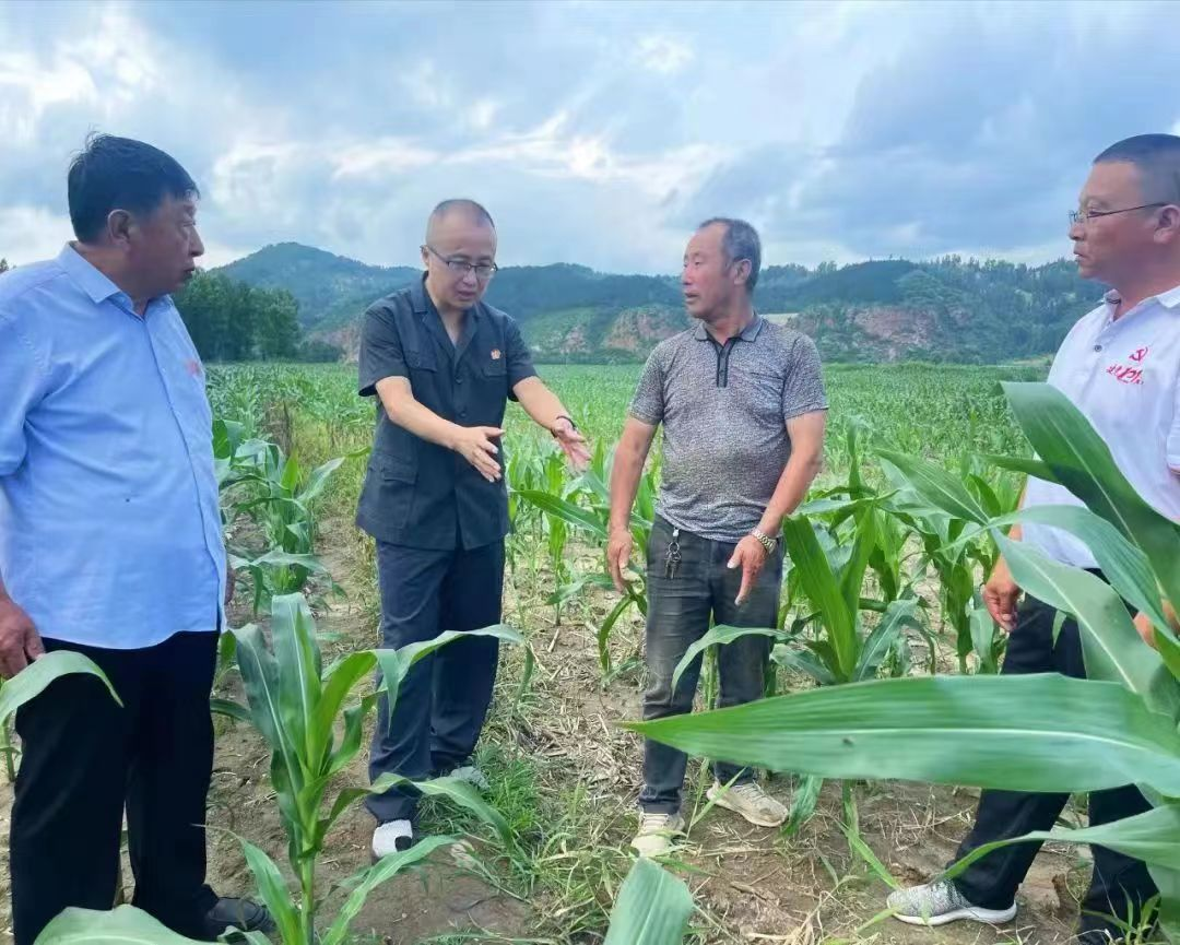 2022年8月11日,隆化县人民法院白虎沟法庭庭长丛人杰和特邀调解员在田间调解纠纷。摄影:刘大力
