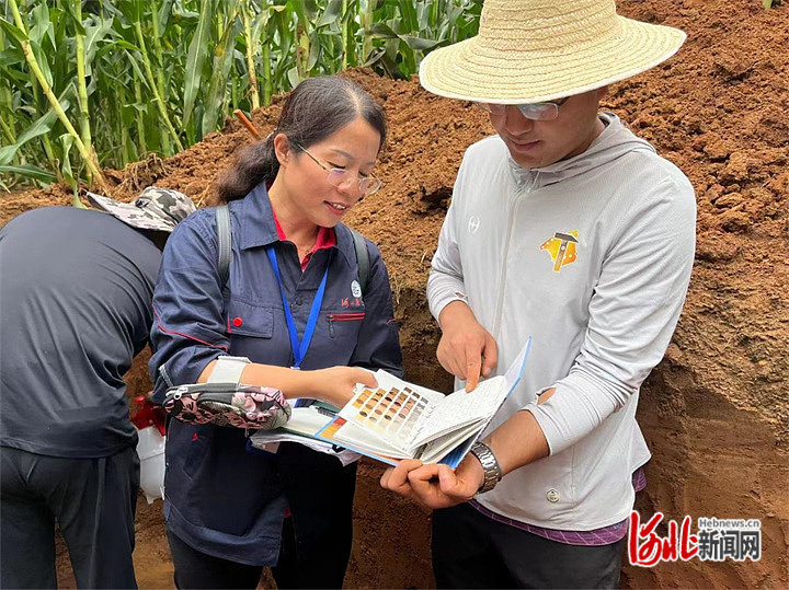 彭正萍教授讲解农田管理技术要领。