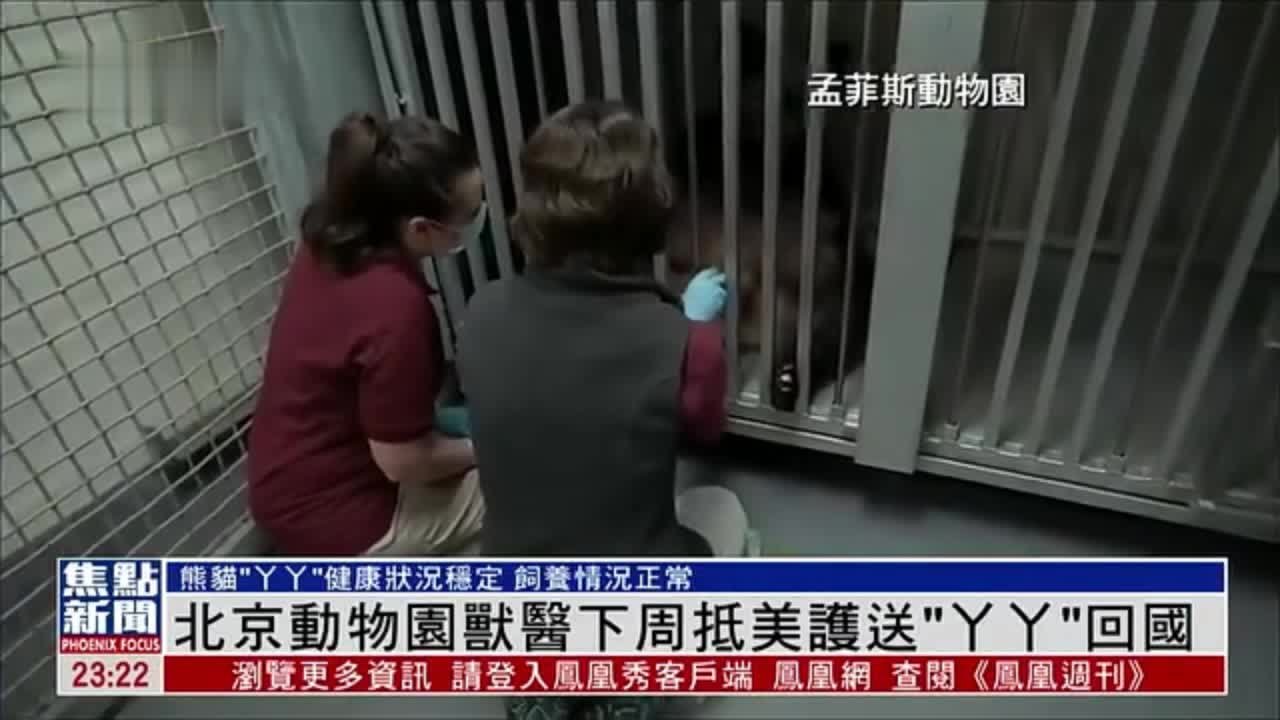 北京动物园兽医下周抵美国 护送大熊猫“丫丫”回国