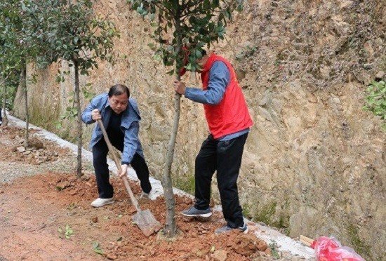 胡元琴(左)参与植树活动