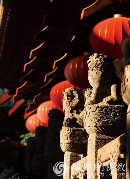 巡礼盛夏光孝:广州光孝寺陈韶辉参选作品|“云游寺院”摄影展