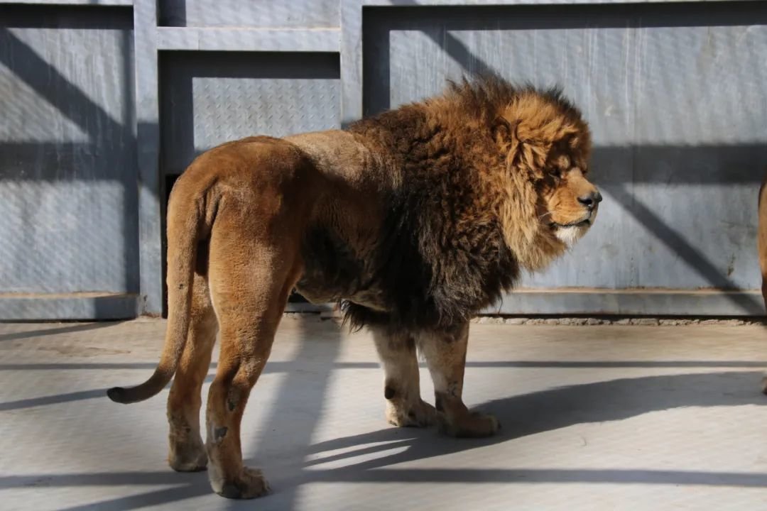 在公园沐浴春风与阳光:散步、踏青、露营……