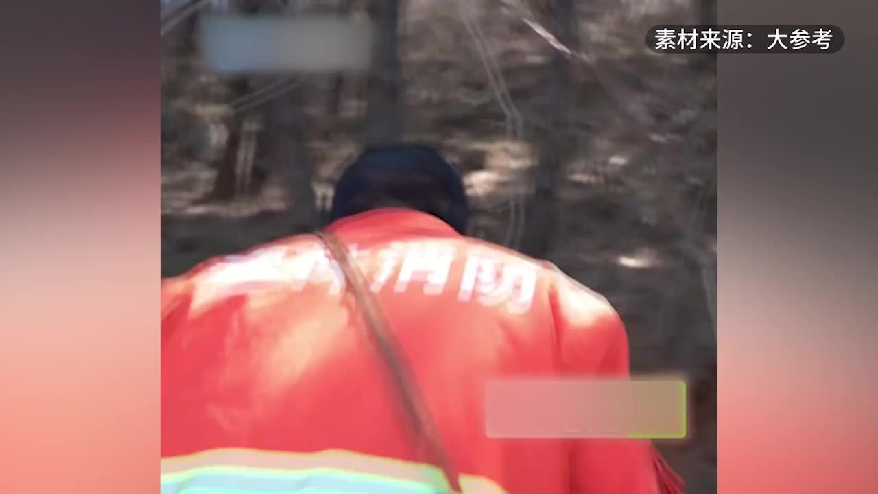 祖孙三代65年守护上百万棵树：每棵树都像孩子一样