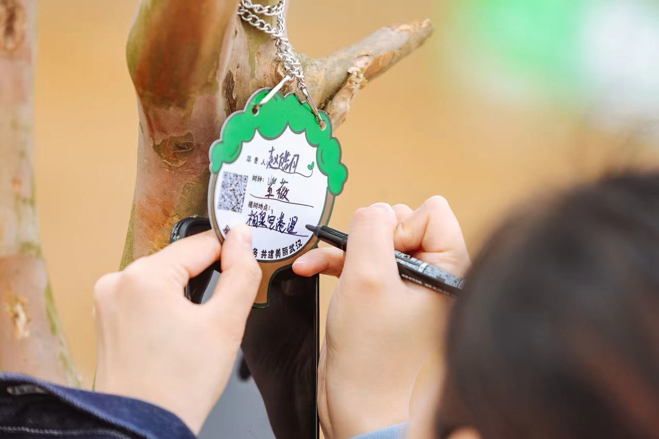 东西湖柏泉空港湿地花田植树活动,市民为新种的紫薇挂牌.