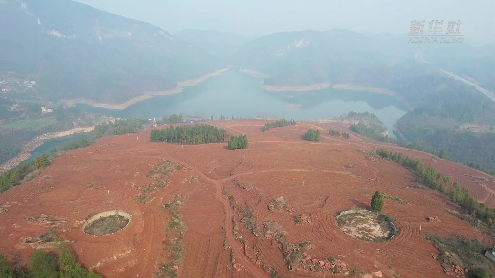 湖南张家界：不负好春光 莓茶基地春耕忙