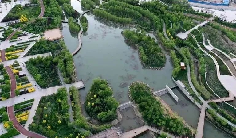 在公园沐浴春风与阳光:散步、踏青、露营……