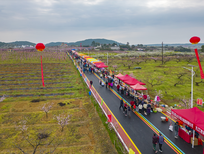 九江永修县：万亩桃花惹人醉 桃花经济富农家