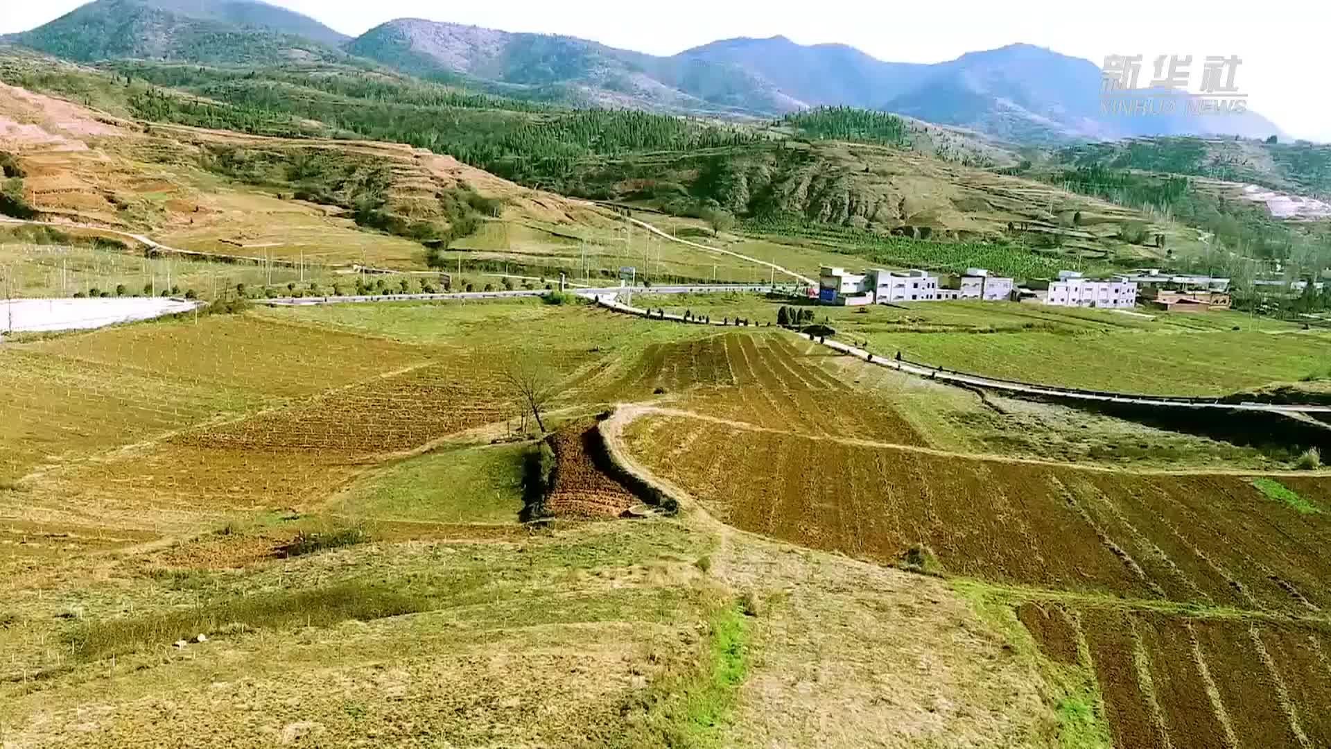 河南淅川：丹江渠首春耕忙 林果管护正当时