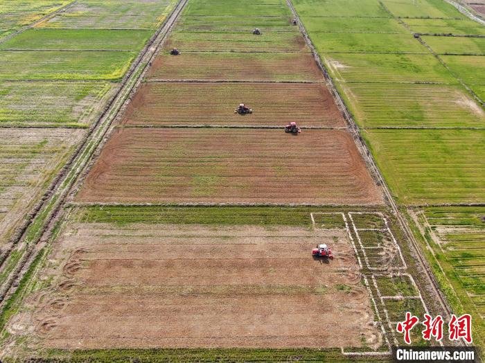 航拍江西省南昌市南昌县大田农社春耕场景。　刘力鑫 摄