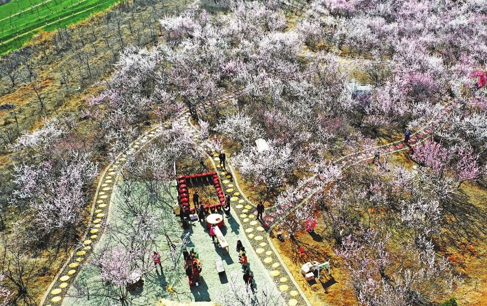 赏花踏春好时节