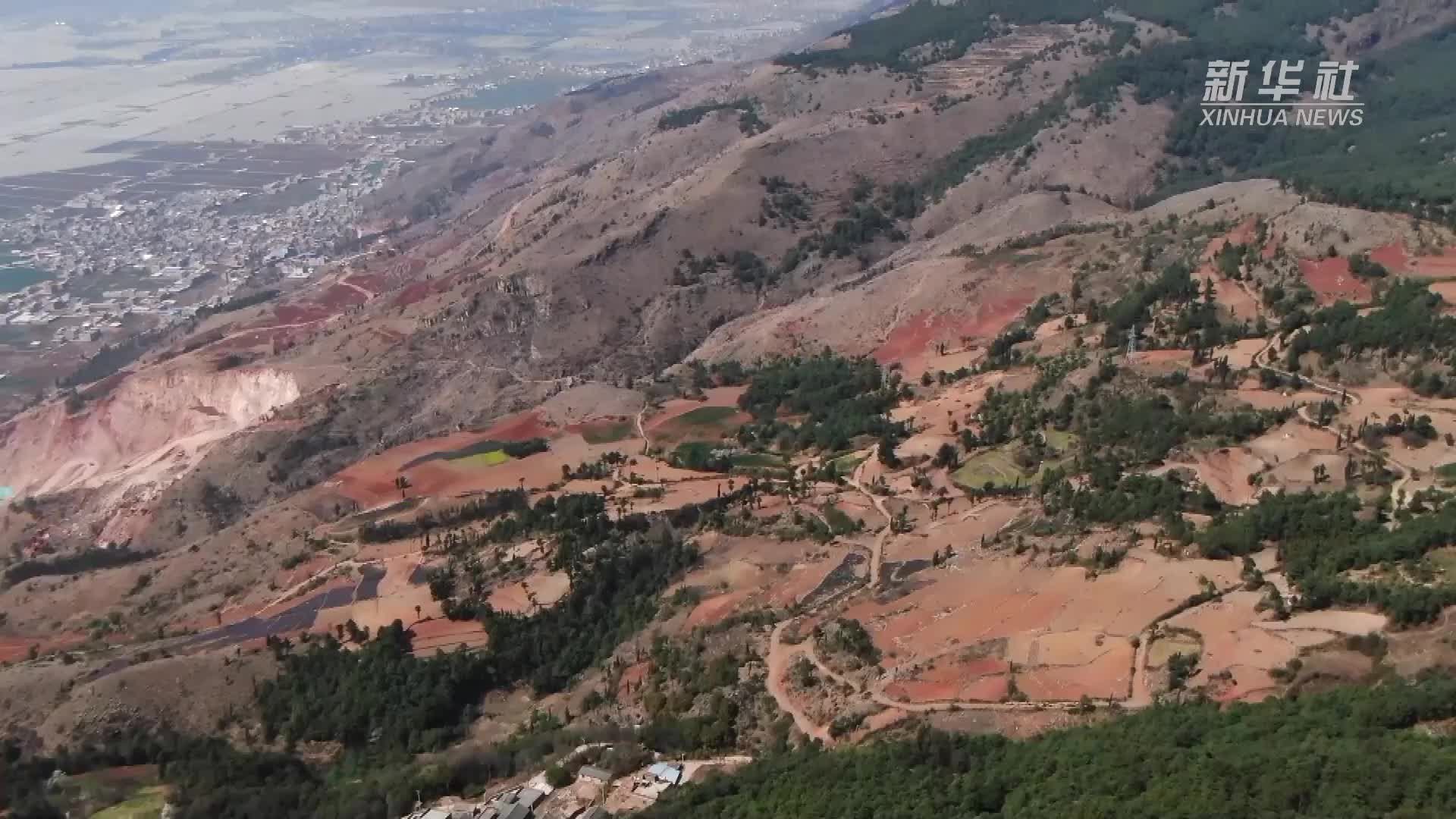 新华全媒+|一座山两代人 四十余载的“绿色守护”_凤凰网视频_凤凰网