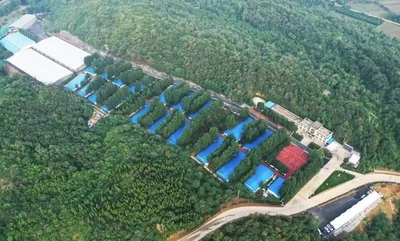 科技强农：从“会”养兔到“慧”养兔凤凰网河南_凤凰网