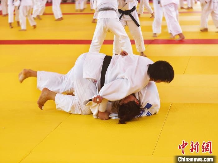 全国柔道训练营中，运动员正在进行对抗性训练。　张少宣 摄