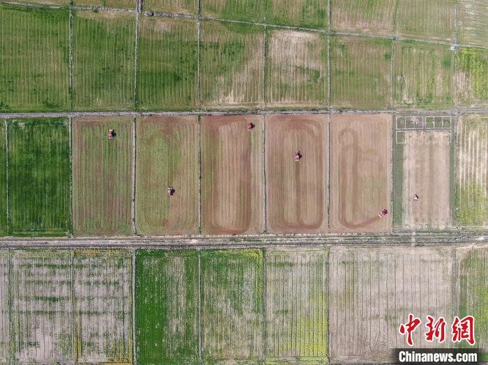 图为航拍数台农机在一块块农田里翻耕土地，大地仿佛一块巨大的“调色板”。　刘力鑫 摄