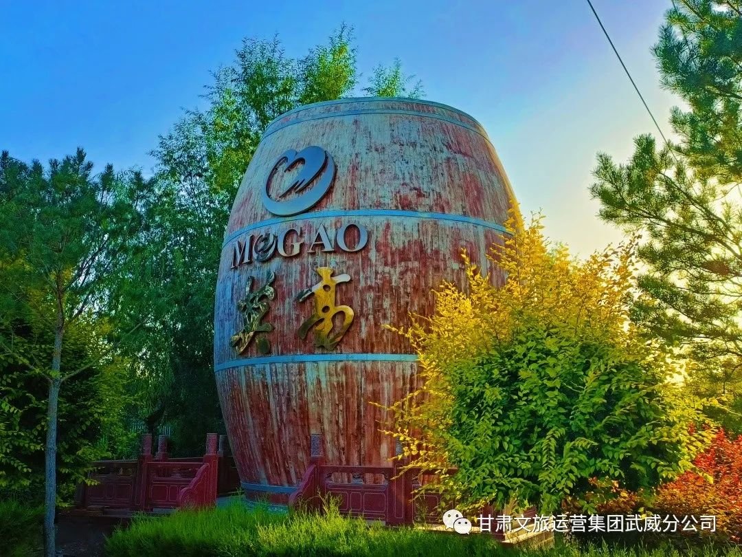 在公园沐浴春风与阳光:散步、踏青、露营……