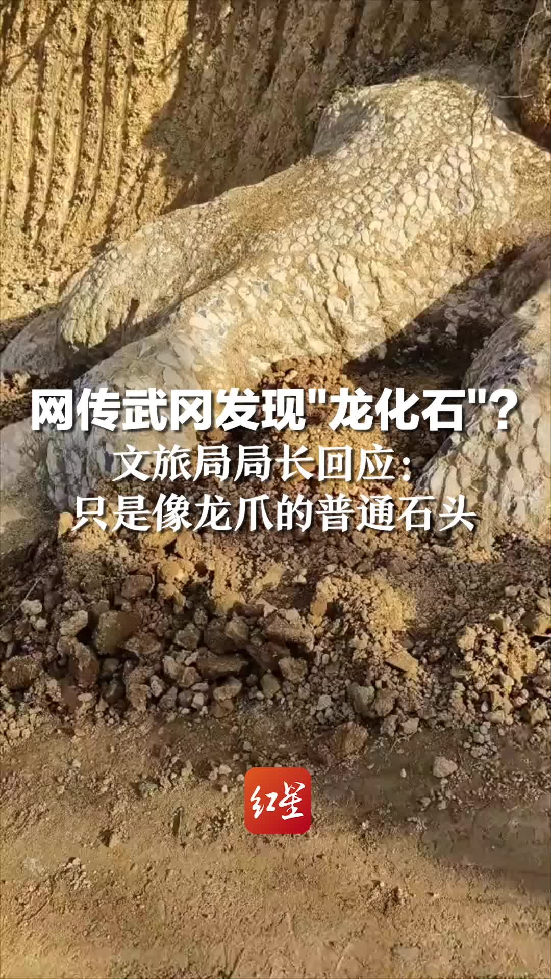 网传武冈发现“龙化石”？文旅局局长回应：只是像龙爪的普通石头